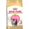Royal Canin Persian Kitten  2 kg