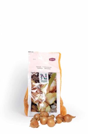 Sättlök, Schalottenlök 'Biztro' 250g