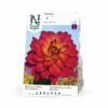 Dahlia, Red Silence