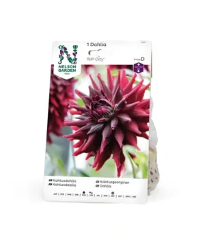Dahlia, RIP City