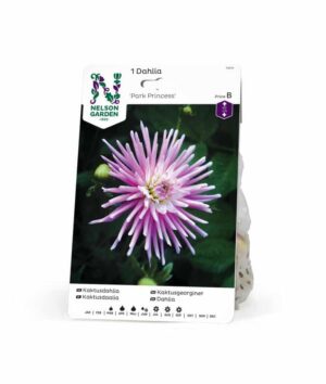 Dahlia, Park Princess