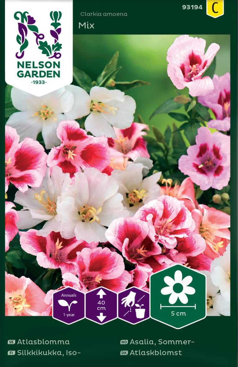 Atlasblomma, Bl Färger