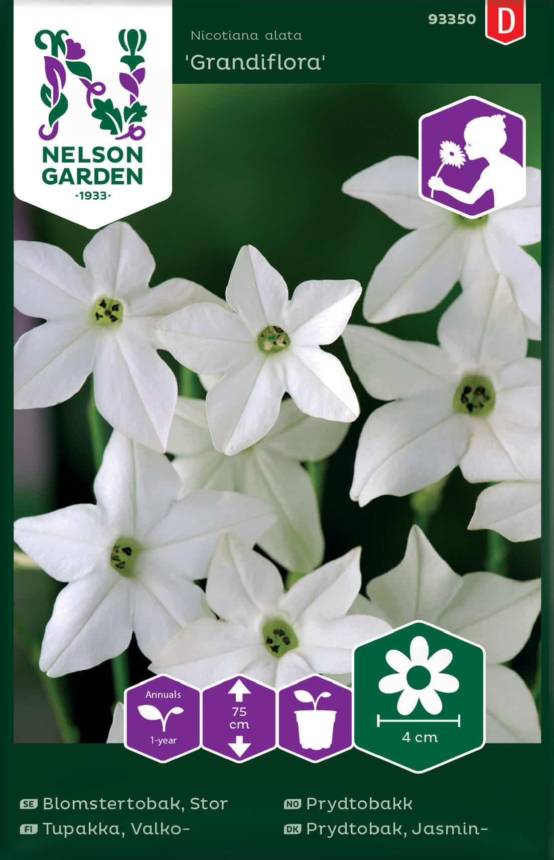 Blomstertobak, Stor, Grandiflora, Vit