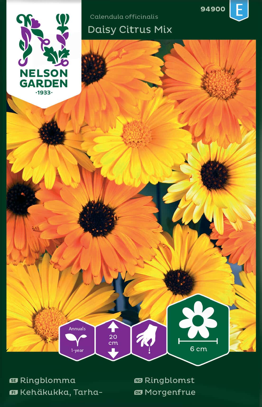 Ringblomma, Daisy Citrus Mix, Låg