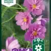 Rosenskära, Fizzy Pink Dark Center