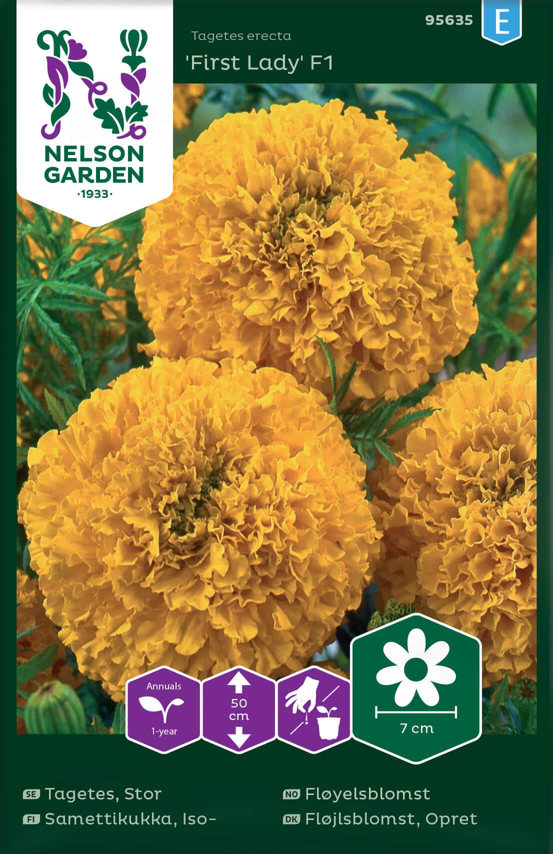 Tagetes, Stor, First Lady F1