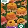 Zinnia, Zinderella Peach