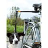 Cykelfäste HandsFree Exerciser Leash