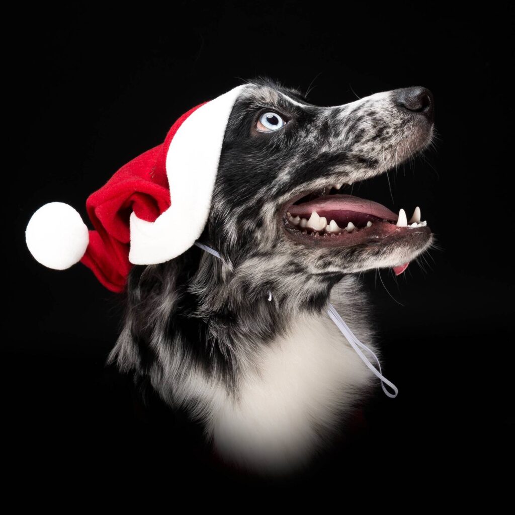 Alternative view of Tomtemössa L