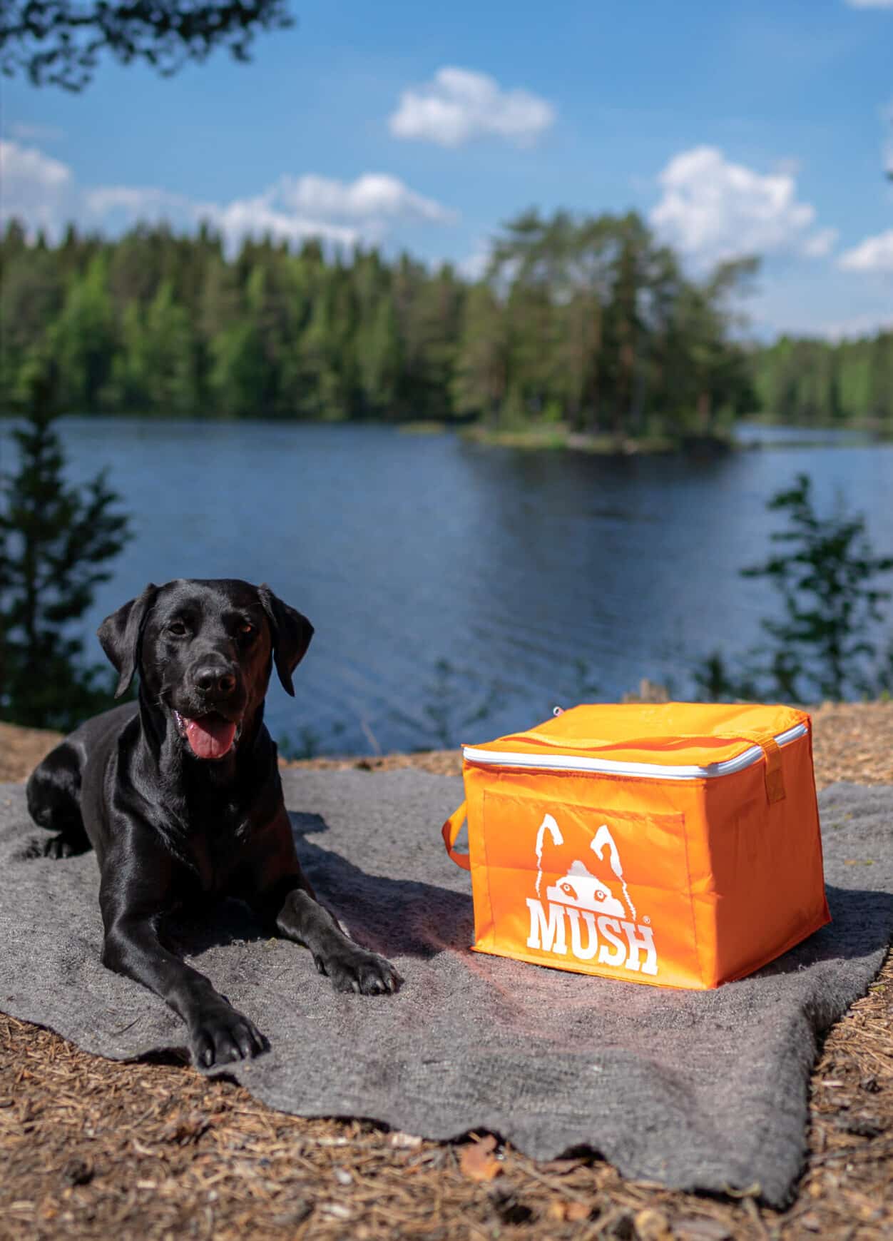 MUSH Kylväska - Bild 2