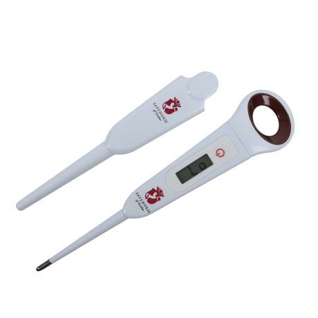 Febertermometer Häst