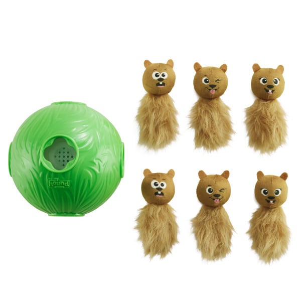 Dog Snuffle N'Treat Ball Grön