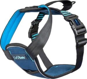 CarSafe Krocktestad Bilsele L