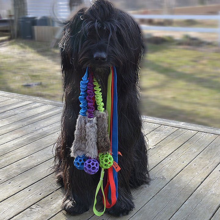 Jami Kinder Kanin JW Röd - Bild 3