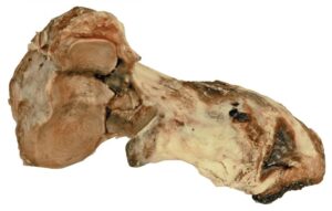 Alternative view of Dogman Oxknotben Svenskt ca 450g