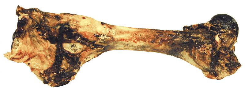 Dogman Köttben Gris Svenskt ca 250g - Bild 2