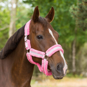 Grimma Globus Pilé Cob Rosa