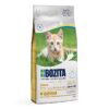 Bozita Kitten GF kyckling 10kg