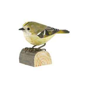 Decobird Kungsfågel