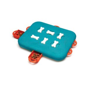 Dog Casino röd/turkos