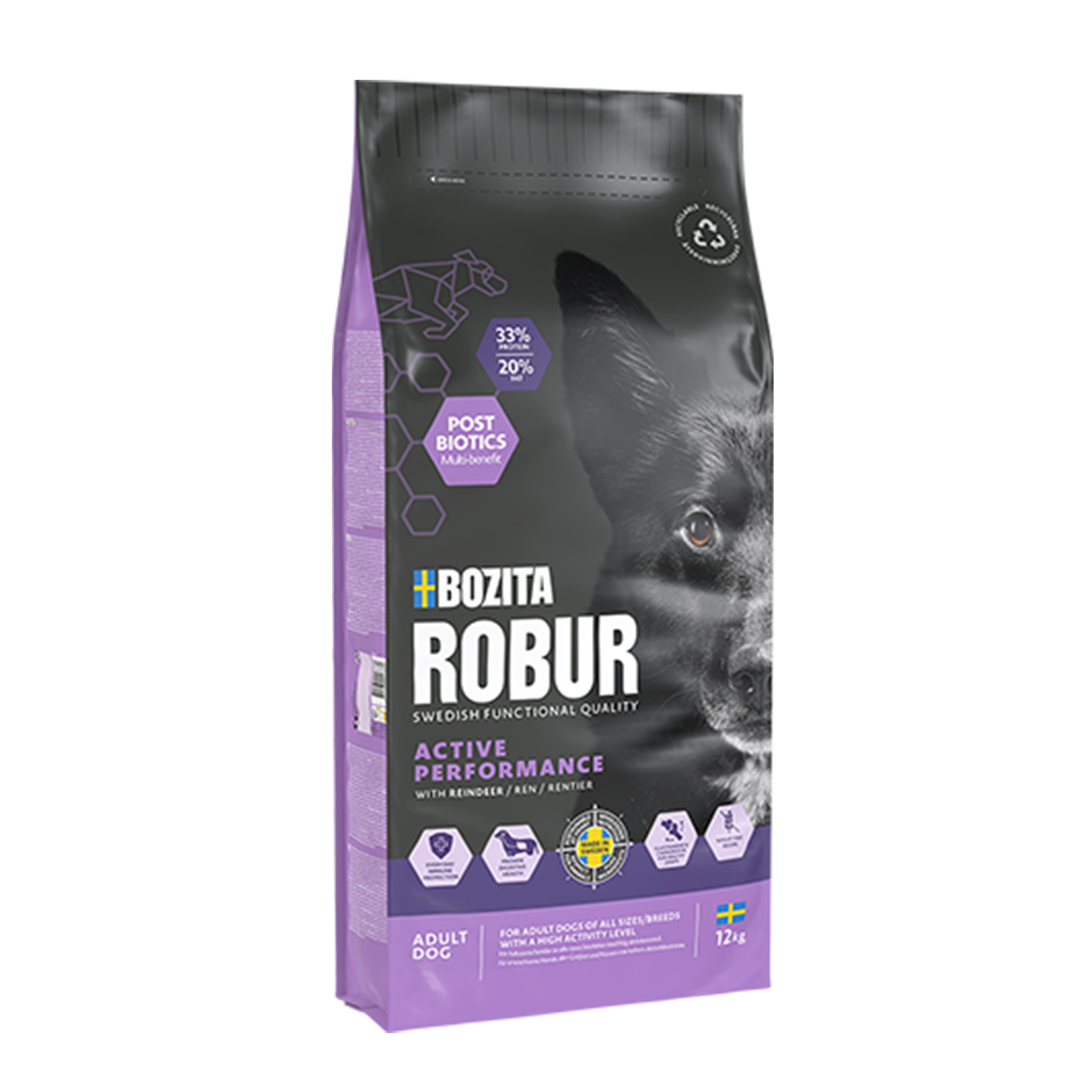 Robur Active Performance Lila 12kg