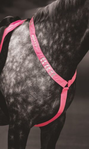 Reflexbrösta Ponny/Cob Rosa