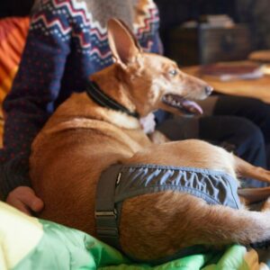 Alternative view of Hurtta Outdoors Breezy Tikskydd M