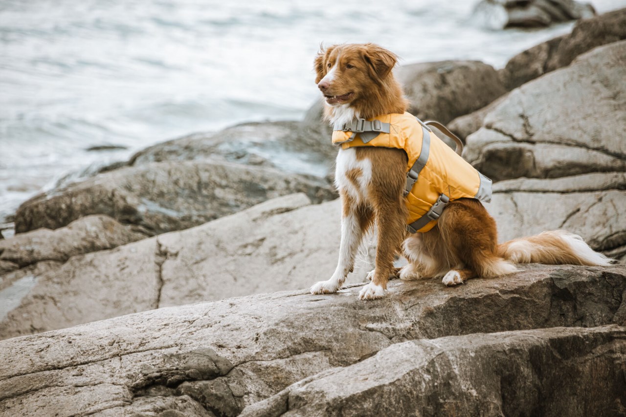 Flytväst Life savior orange 40-80kg - Bild 4