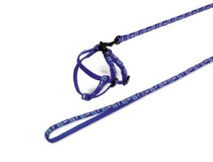 Kaninsele + koppel Morot Blå