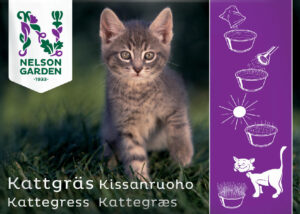 Kattgräs