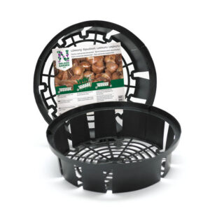 Lökkorg 3-Pack