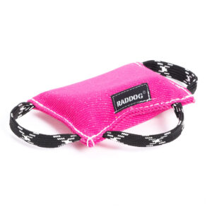 Raddog Bitkudde valp 1 ROSA