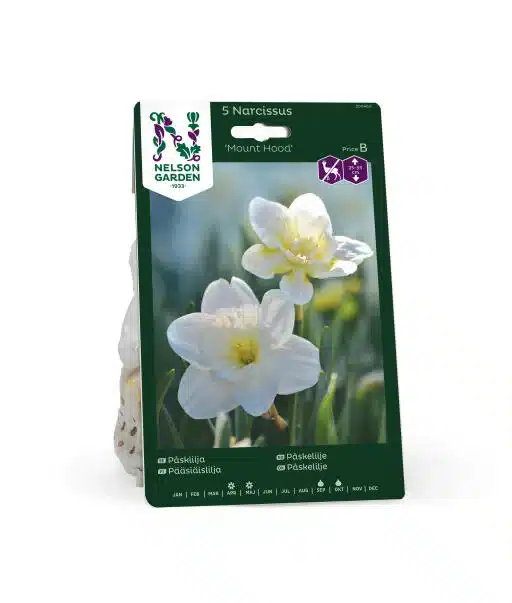 Påsklilja Mount Hood