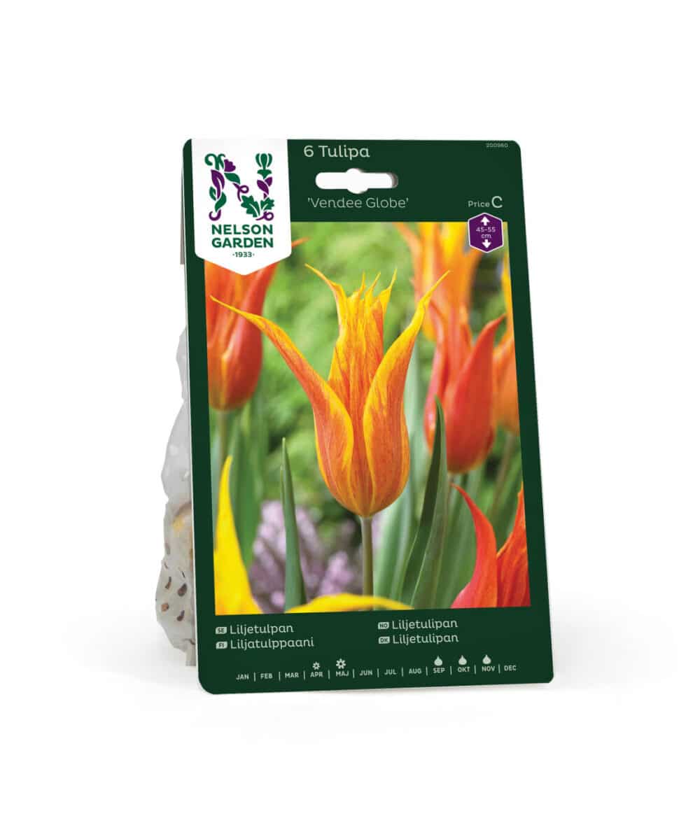 Liljetulpan Vendee Globe