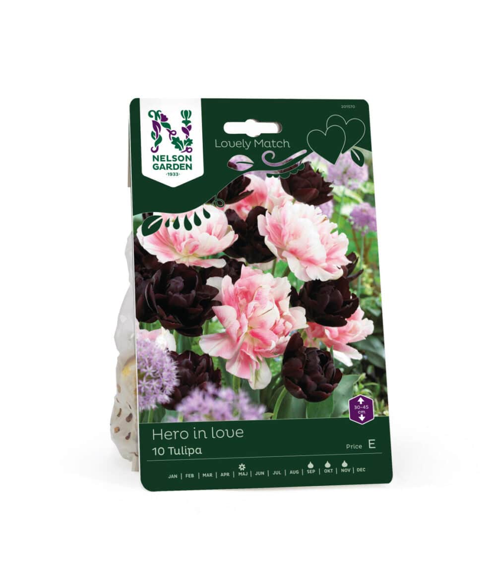 Lovely Match Hero in Love