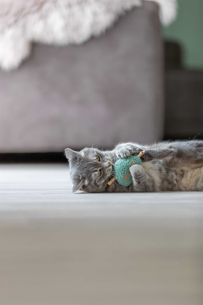 Alternative view of Matatabihjärta plysch 12cm