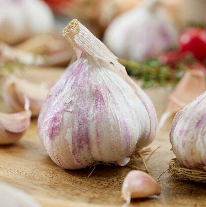 Alternative view of Vitlök Thermidrome