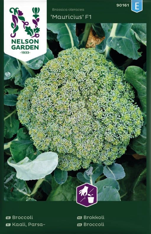 Broccoli Mauricius F1