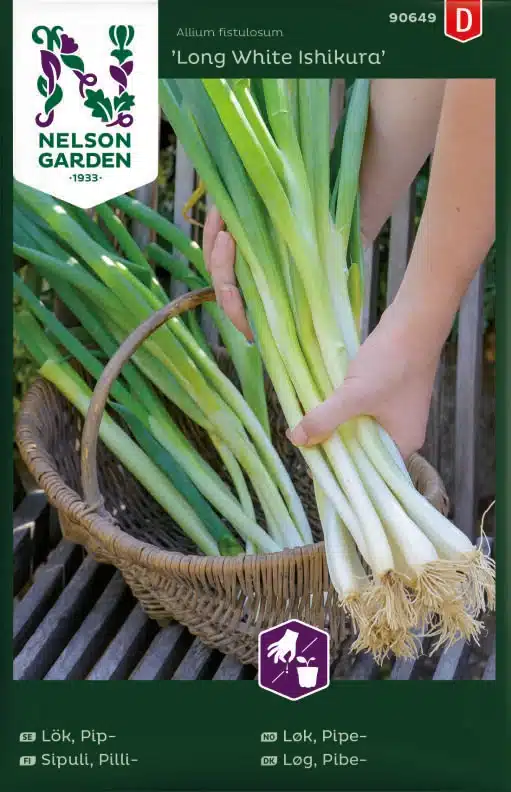 Lök, Pip, Long White Ishikura