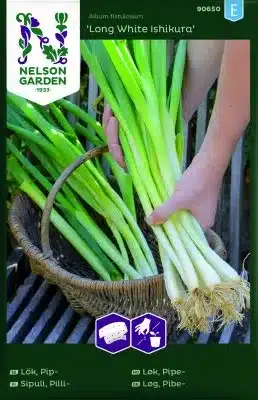 Lök, Pip, Long White Ishikura, Såband