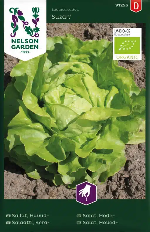Sallat, Huvud, Suzan, Organic