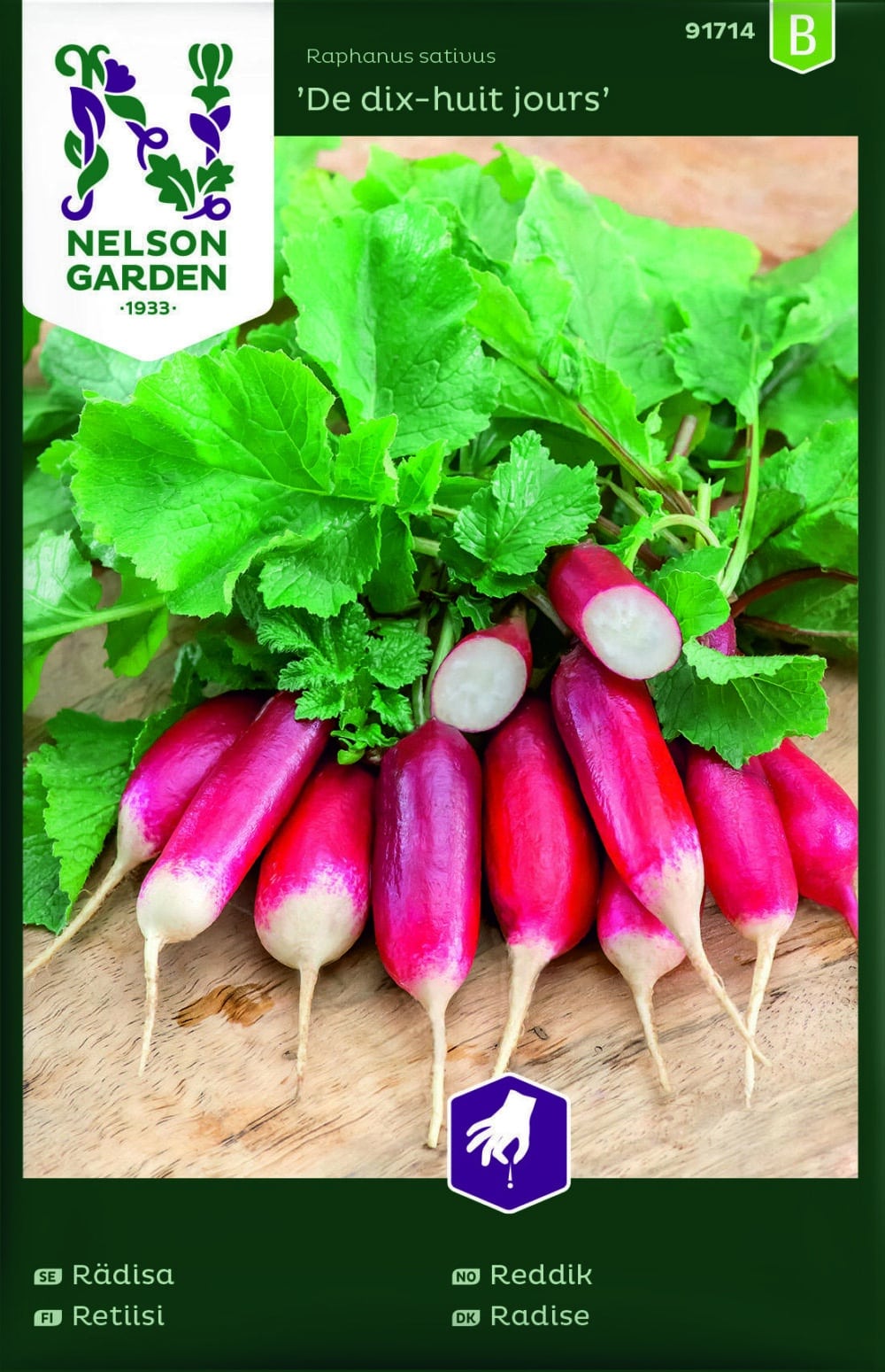 Rädisa, De dix-huit jours