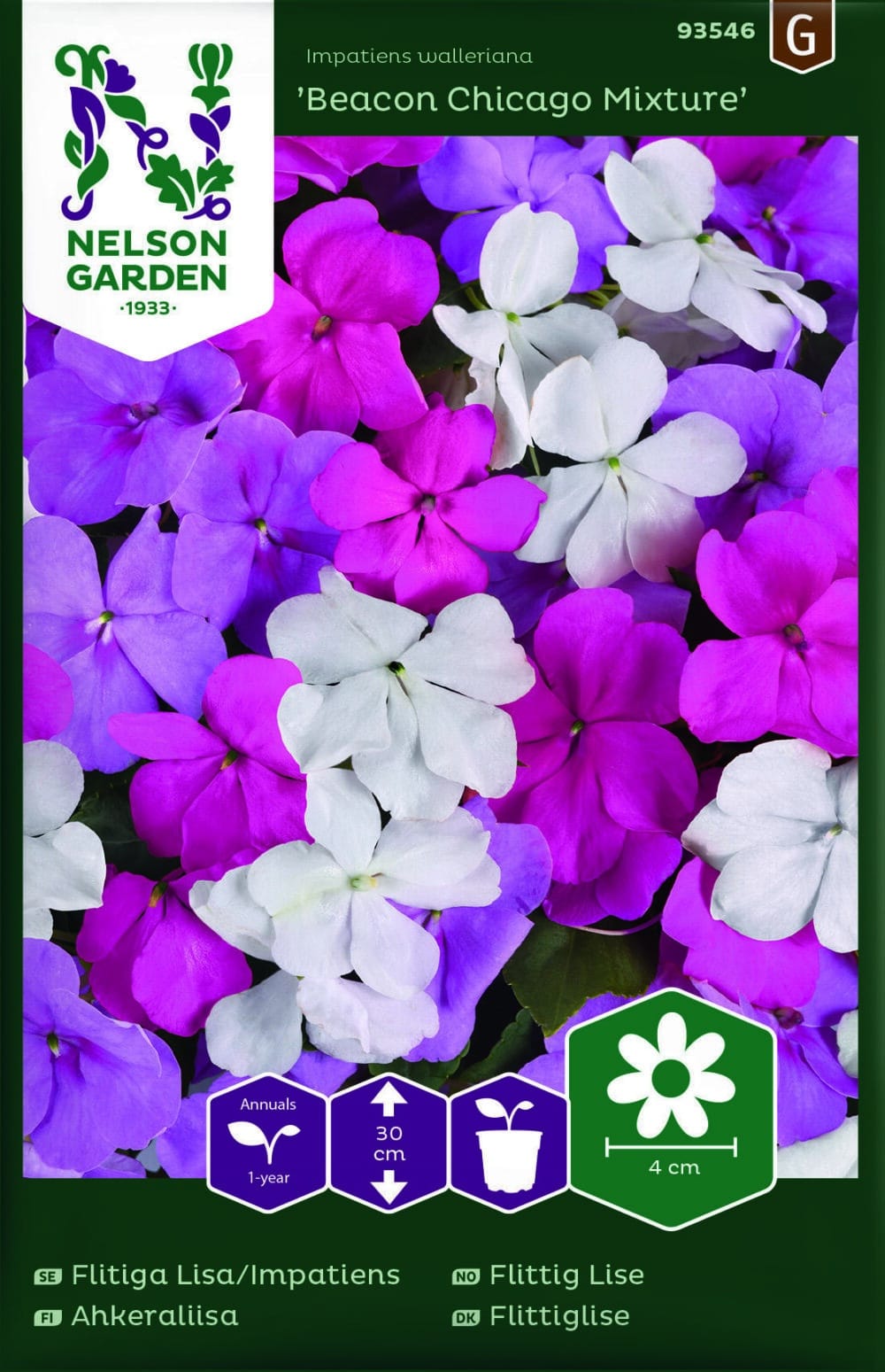 Flitiga Lisa, Beacon Chicago Mixture F1