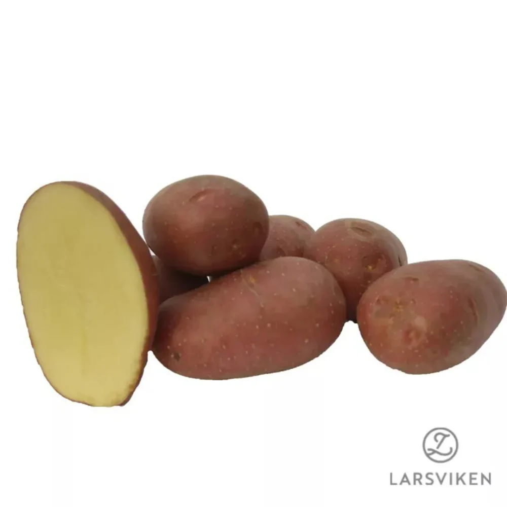Sättpotatis Alouette Eko 500g