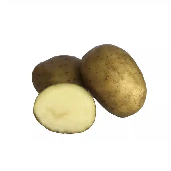 Sättpotatis Arielle 2kg