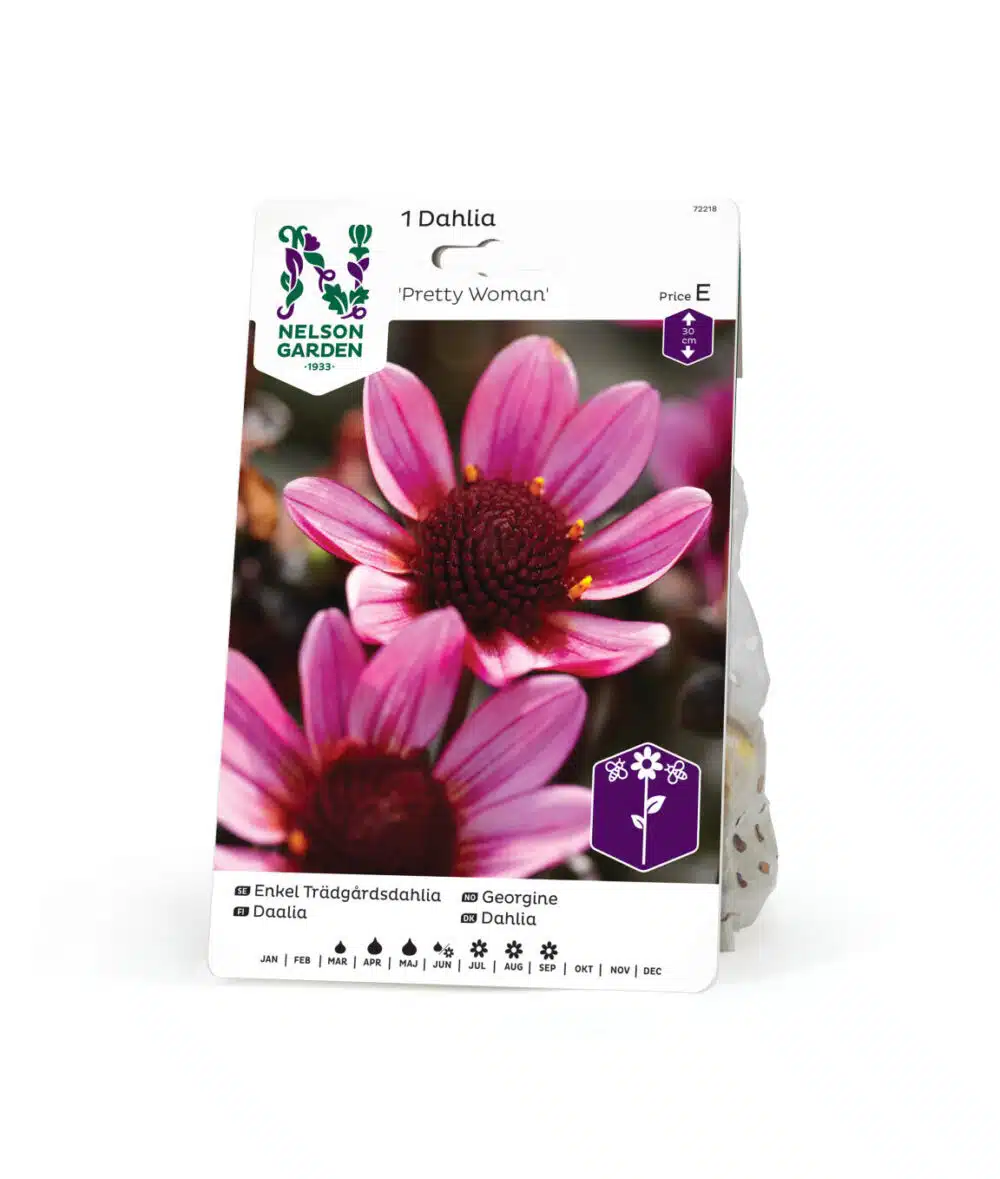 Dahlia, Pretty Woman